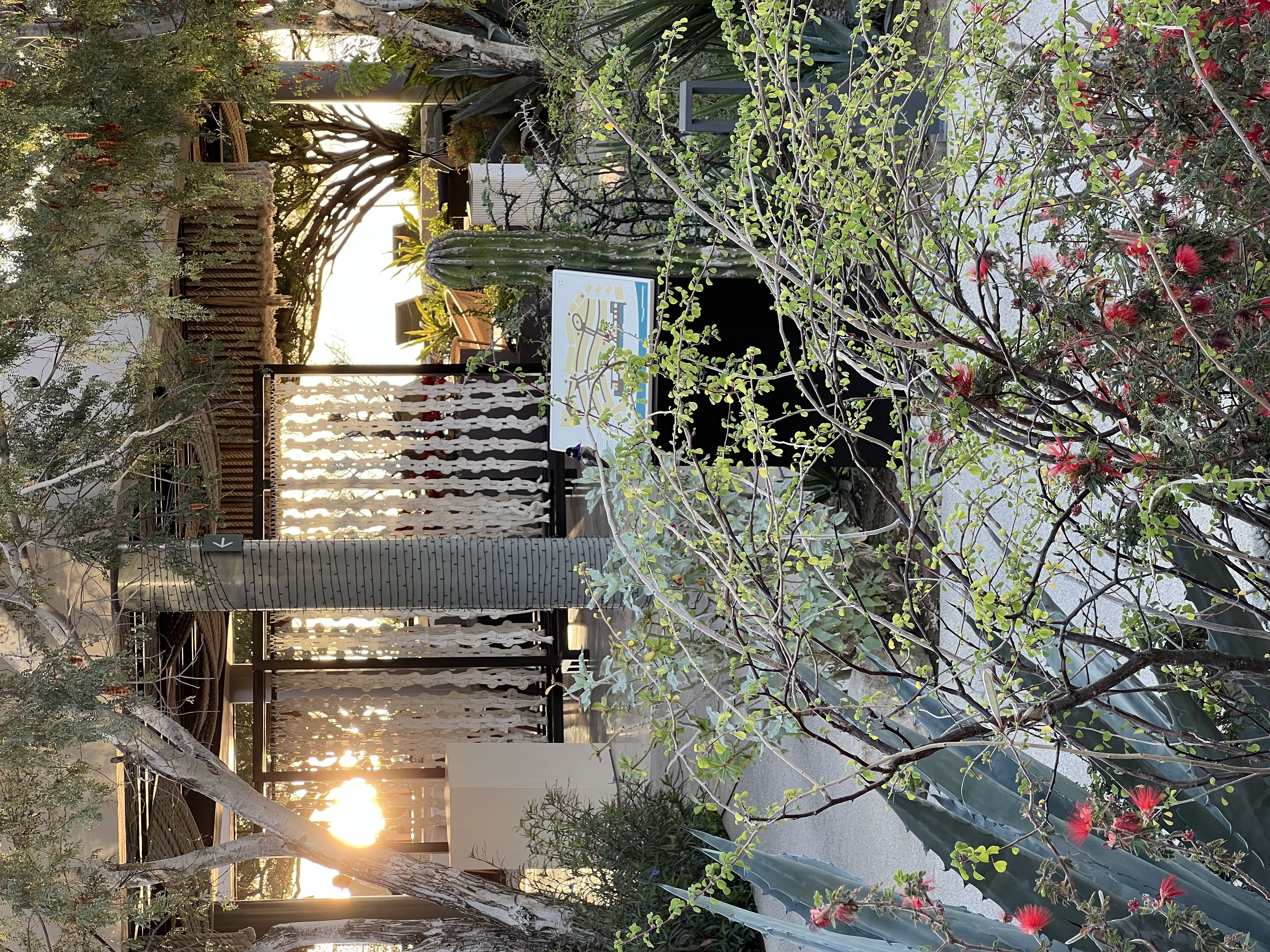 ./2024/13 - Cabo/IMG_4945.jpg